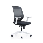 Bürodrehstuhl, mit Armlehnen, höhenverstellbar, Wippmechanik 